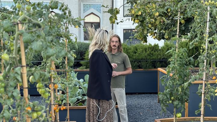 Among the tomato vines: the rooftop farm