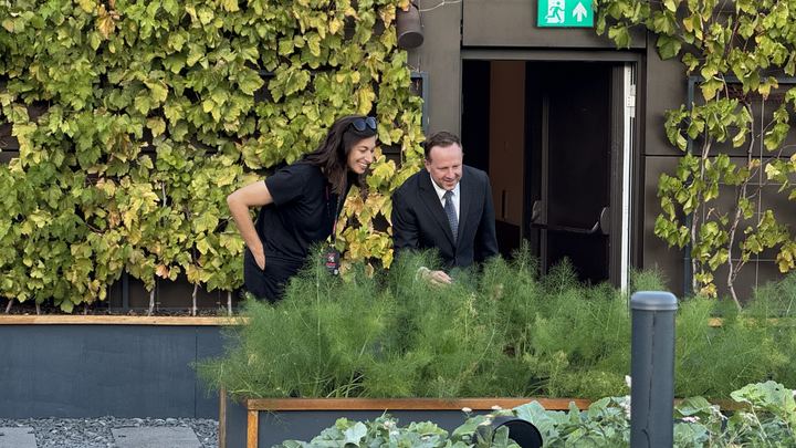 Samuel Linder shows the herb beds