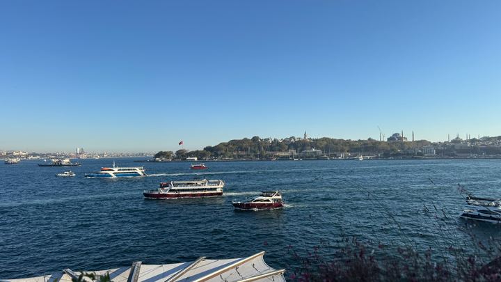The Golden Horn from the Herb Garden